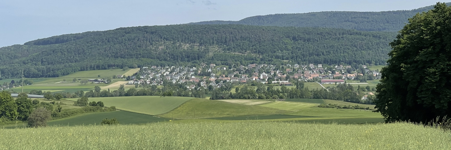Blick auf Rodersdorf